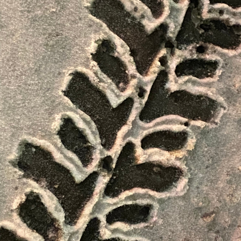 Accelera Badak X-Treme - extreme mud terrain tire - tire tracks in the sand